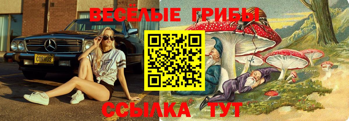 Псилоцибиновые грибы Cubensis  что такое наркотик  Зеленодольск  Псилоцибиновые грибы Psilocybine cubensis  Вход с VPN 