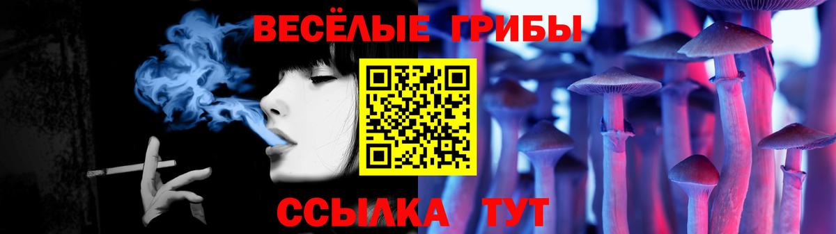 Псилоцибиновые грибы Cubensis Зеленодольск